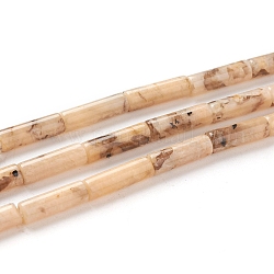 Chapelets de perles de feldspath naturel, colonne, 13~14x4mm, Trou: 1mm, Environ 30 pcs/chapelet, 15.9 pouce (40.5 cm)