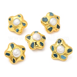Cuentas de estrella de perlas naturales, Plateado de larga duración, con borde de latón bañado en oro y apatito natural, color de concha, 23.5~24.5x25~25.5x17~17.5mm, agujero: 0.9 mm