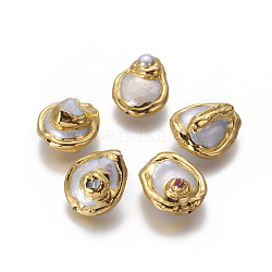 Perle di perle d'acqua dolce coltivate di perle barocche naturali, con accessori di ottone, pepite, oro, 20~21x11~13mm, Foro: 0.8 mm