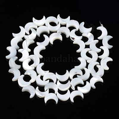 Нити бусин из натуральных трохоидных/трохус ракушек SSHEL-S266-025A-01-1