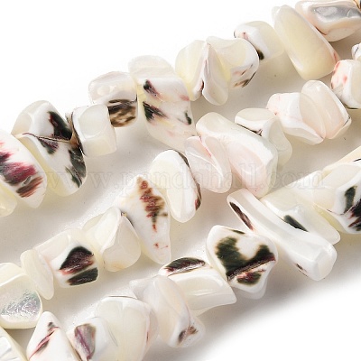 Нити бусин из натуральных трохоидных/трохус ракушек SHEL-B003-02J-1