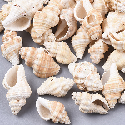 Натуральные спиральные бусы из ракушек SSHEL-S258-75-1