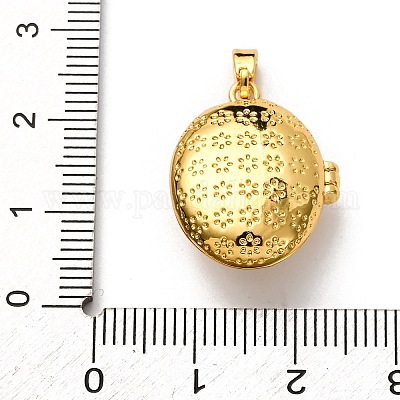 Латунь эмаль Locket подвески&nbsp;KK-K305-05G-1