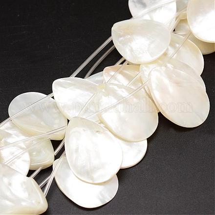Chapelets de perles de coquille de trochid / trochus coquille SSHEL-K009-13-1