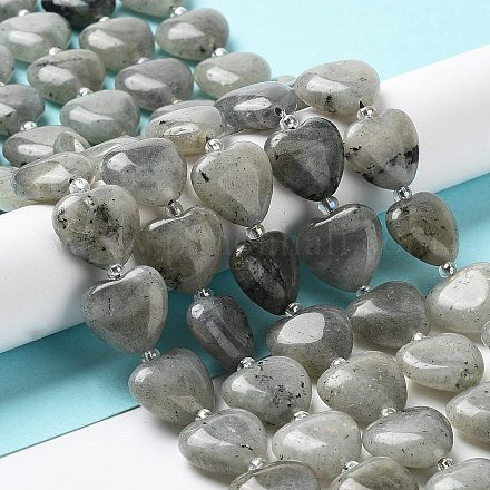 Natural Labradorite Beads Strands G-E614-A11-01-1