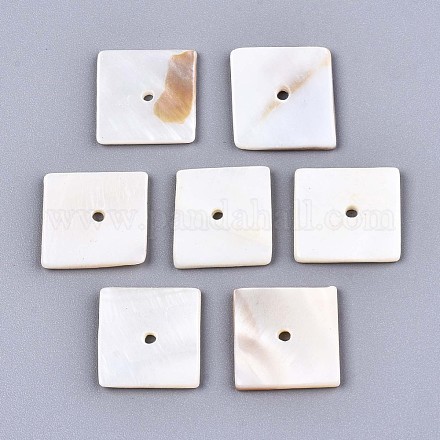 Perles de coquillages naturels d'eau douce SHEL-S276-109B-01-1