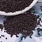 MIYUKI Delica Beads, Cylinder, Japanese Seed Beads, 11/0, (DB0734) Opaque Chocolate, 1.3x1.6mm, Hole: 0.8mm, about 2000pcs/10g