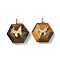 Natural Tiger Eye Faceted Pendants, Hexagon Charms with Brass Pave Clear Cubic Zirconia Butterfly, Real 18K Gold Plated, Long-Lasting Plated, Rack Plating, 22x19x10mm, Hole: 3.5x2mm