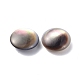 Perles de lèvre noire en coquillage naturel  BSHE-Z002-06A-2