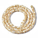 Chapelets de perles de coquille de trochid / trochus coquille SSHEL-S266-019B-01-2