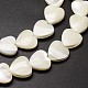 Fili di perle di conchiglia trochid naturale / trochus SSHEL-K012-01-A-3