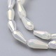 Electroplated Opaque Glass Beads Strands X-EGLA-L015-FR-B11-2