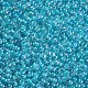 11/0 Grade A Round Glass Seed Beads SEED-N001-E-314-2