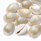 Natürliche Kaurimuschel Perlen X-SSHEL-T004-04-1