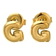 Серьги-гвоздики из нержавеющей стали 304 EJEW-I316-01G-G-1