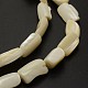 Rectangle Natural Spiral Shell Beads Strands SHEL-E355-01-2