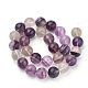Natural Fluorite Beads Strands G-S279-03-2