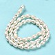 Natural Cultured Freshwater Pearl Beads Strands PEAR-E016-065-3