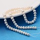 Brins de perles de culture d'eau douce naturelles X-PEAR-L001-H-07-2