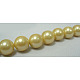 Polished Shell Pearl Round Beads Strands SP12MM720-2