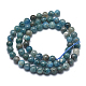 Natural Apatite Beads Strands G-I254-08A-01-2