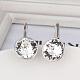Real Platinum Plated Tin Alloy Cubic Zirconia Leverback Earrings EJEW-BB09658-P-2