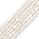 Eau douce naturelle de coquillage perles brins BSHE-E028-03-2