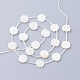Perles de coquillage blanc naturel X-SSHEL-Q298-06-2