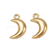 Подвески из нержавеющей стали 304 STAS-L290-70G