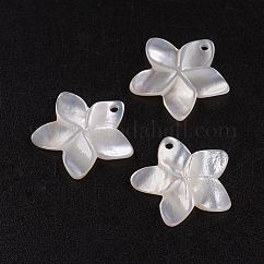 Pendenti in madreperla conchiglia bianca naturale, fiore, 18.5x19x2mm, Foro: 1.5 mm