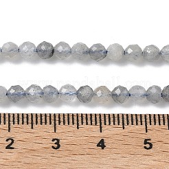 Природные лабрадорита бисер нитей&nbsp;G-L651-C11-4mm