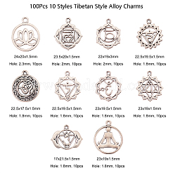 100 pz 10 stili pendenti in lega di stile tibetano&nbsp;TIBEP-CJ0001-50