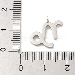 304 Edelstahl Micro Pave Zirkonia Charms&nbsp;STAS-Z107-09P-12