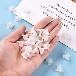 Прозрачные акриловые бусины PLF018-01