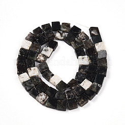 Природного биотита нитей бисера G-N346-05A-01