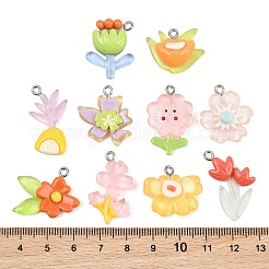 Pendentifs en résine opaque&nbsp;RE-CBA5D24-02