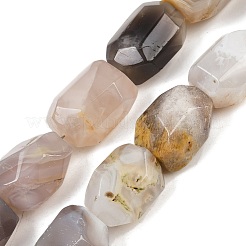 Природные Ботсвана агат бисер нитей&nbsp;G-F796-C03-01