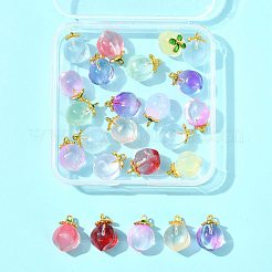 24шт 9 цвета стеклянные подвески GLAA-FS0002-43