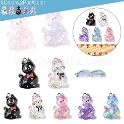 10шт 5 стиля прозрачные подвески из смолы&nbsp;RESI-FS0001-92