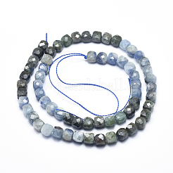 Натуральные нити из кианита / цианита / дистенового бисера G-D0003-B01