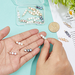 20 Stück 5 Farben natürliche Süßwasserzuchtperle zwei Seiten poliert Perlen Verbinder Charms&nbsp;PALLOY-WR00031