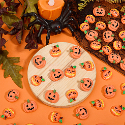 60шт 2 стиля непрозрачные кабошоны из смолы&nbsp;CRES-HY0001-09