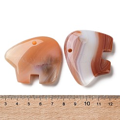 Натуральный красный агат подвески&nbsp;G-T144-08I