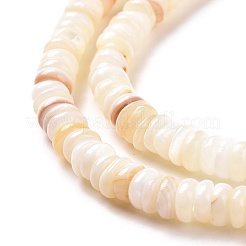 Нити бусин из ракушек SSHEL-E571-49I