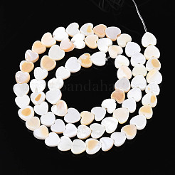 Нити бусин из натуральных пресноводных ракушек&nbsp;SHEL-N026-67A
