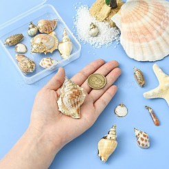 16 шт. 8 стиля гальванизированные натуральные смешанные ракушки большие подвески&nbsp;SSHEL-CJ0001-21