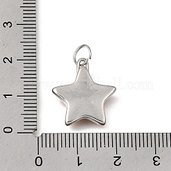 304 Edelstahl-Emaille-Anhänger&nbsp;STAS-F359-01A-P