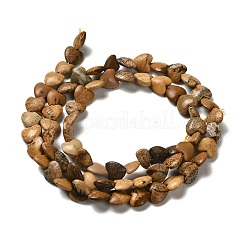 Естественного изображения яшмы бисер нитей G-P575-C08-6mm