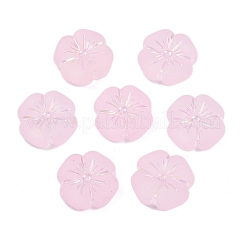 Матовые прозрачные акриловые бусины X1-OACR-P029-19B-05