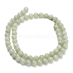 Натуральный майяр нефрит / бурманский нефрит бисерные пряди G-L642-B11-6mm